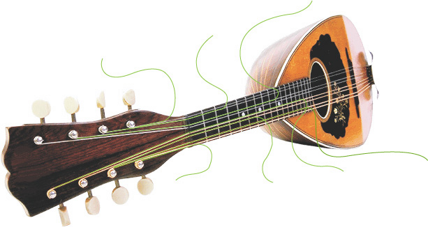 mandolinogrande