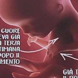 PRATICAVO ABORTI, OGGI DIFENDO LA VITA