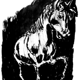 Il cavallo, simbolo di Napoli: ecco dov’era