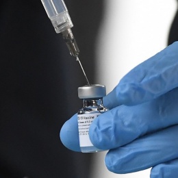 Più vaccini, più varianti: la verità del fine pandemia mai