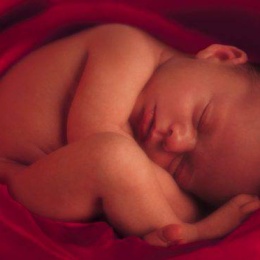 Aborto fino alla nascita, la folle richiesta dell’OMS