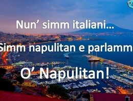 Il napoletano scritto e parlato: regole di una lingua viva
