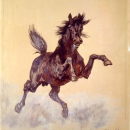 IL “CAVALLO SFRENATO” DI FILIPPO PALIZZI